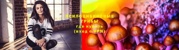 наркотики Ельня