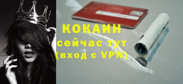 сатива Елизово