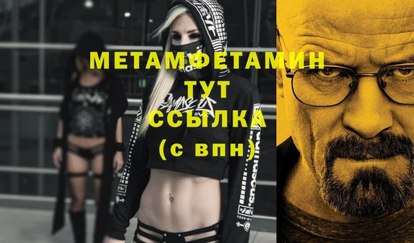 сатива Елизово
