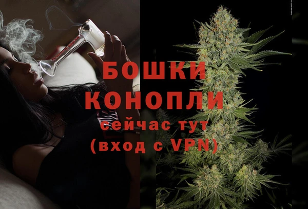 сатива Елизово