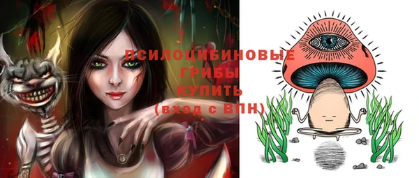jwh Елабуга