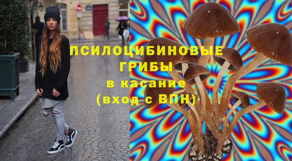 сатива Елизово