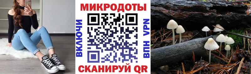 Купить закладки  Реж  Галлюциногенные грибы мухоморы 